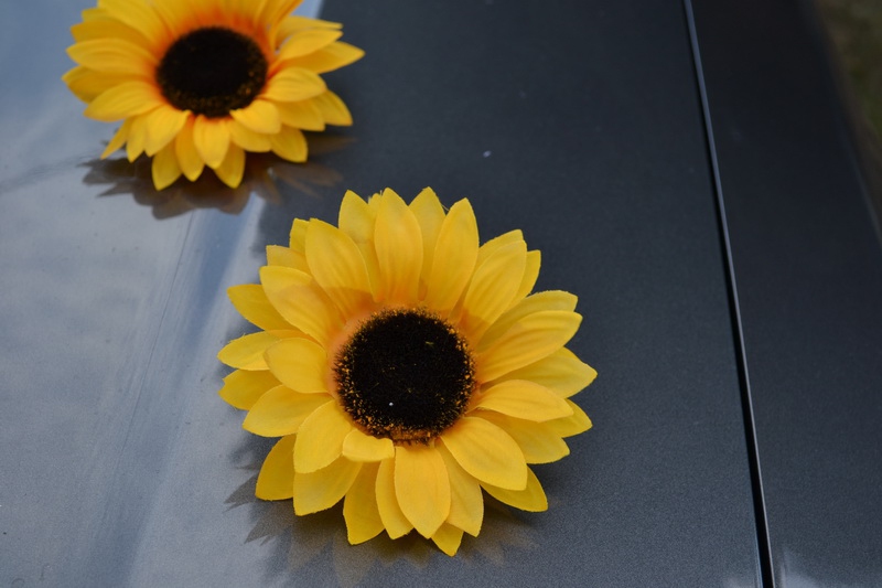 Samolepící květy slunečnice