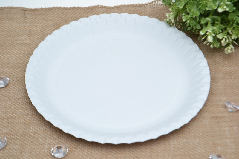 Papírové bílé talíře (10ks)